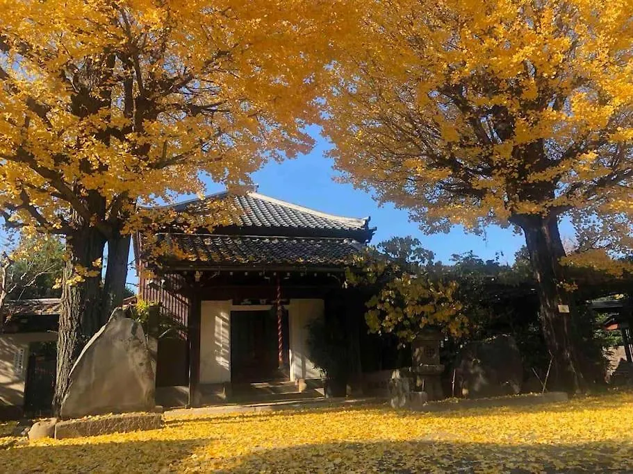 Us311山手线上野日本著名设计师设计公寓，直达上野2分直达新宿，涉谷，秋叶原，东京，便利店饮食店满载 Tokyo
